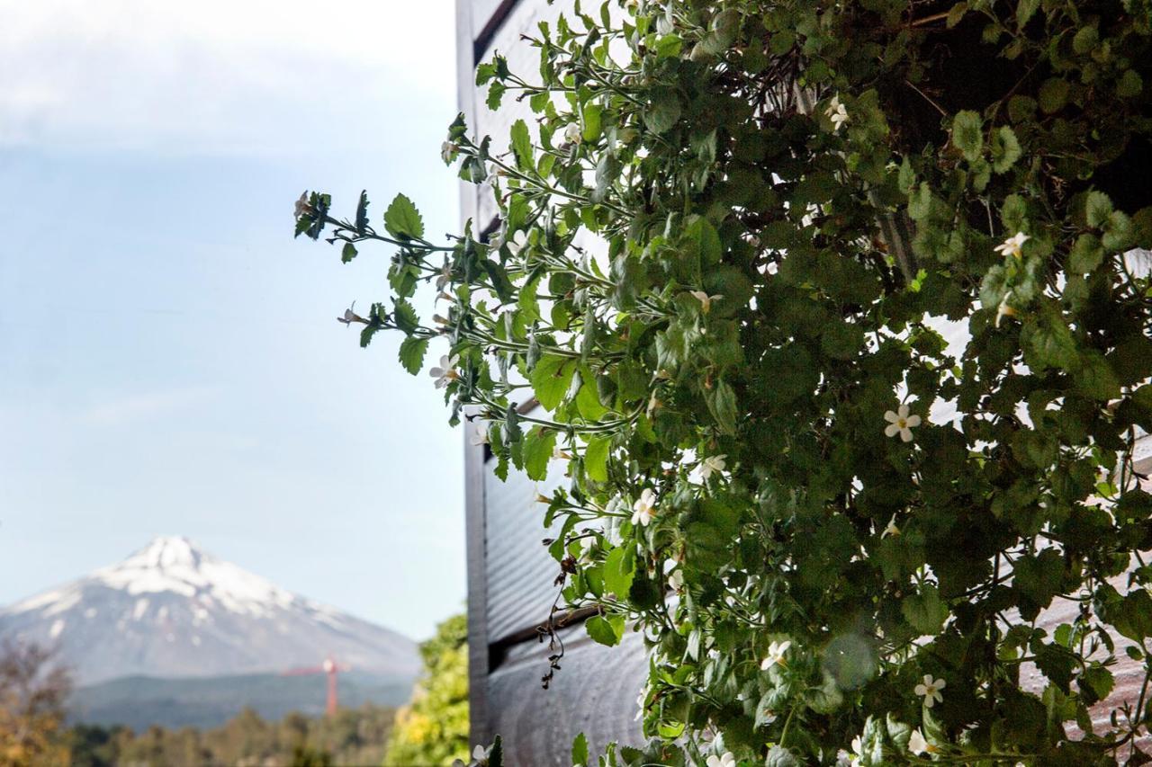 Maki Hotel Pucón Dış mekan fotoğraf